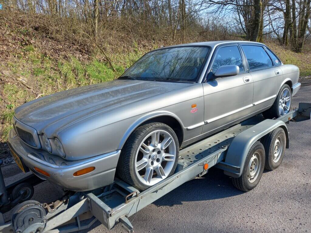 jaguar sur plaeau oise aisne somme